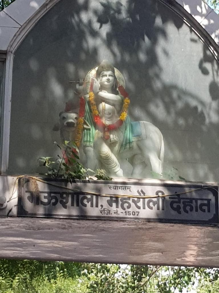 Partner gaushala receiving a Pehli Roti delivery