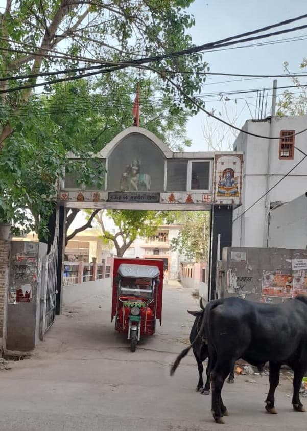 Pehli Roti delivery reaching a gaushala